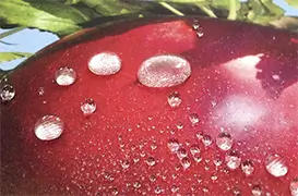 超強力 撥水加工